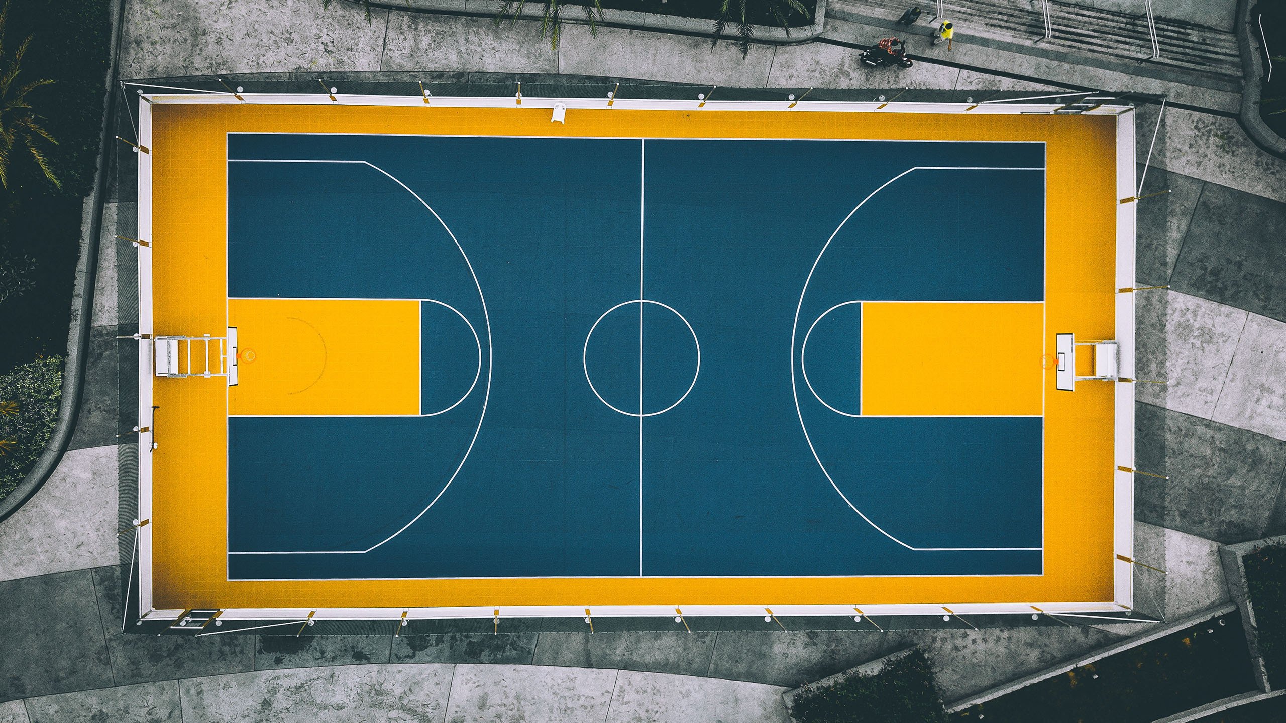 包含官方:Faker我将化身NBA大的词条
